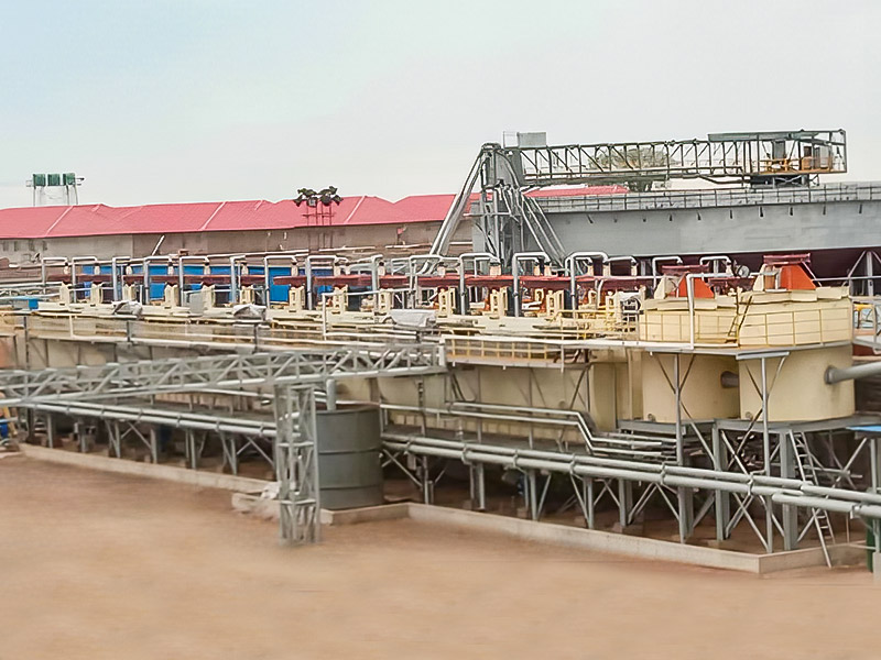 Zimbabwe Lepidolite 3000T/D Projek Pemprosesan Mineral - Zhejiang Dingsen Holding Co., Ltd.